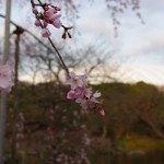 ３月は忙しい