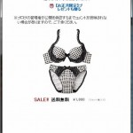 アメーバブログにてコメントを投稿したら、ドキッとした（汗）