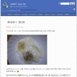イラン流ヨーグルトの食べ方を実践したら・・・